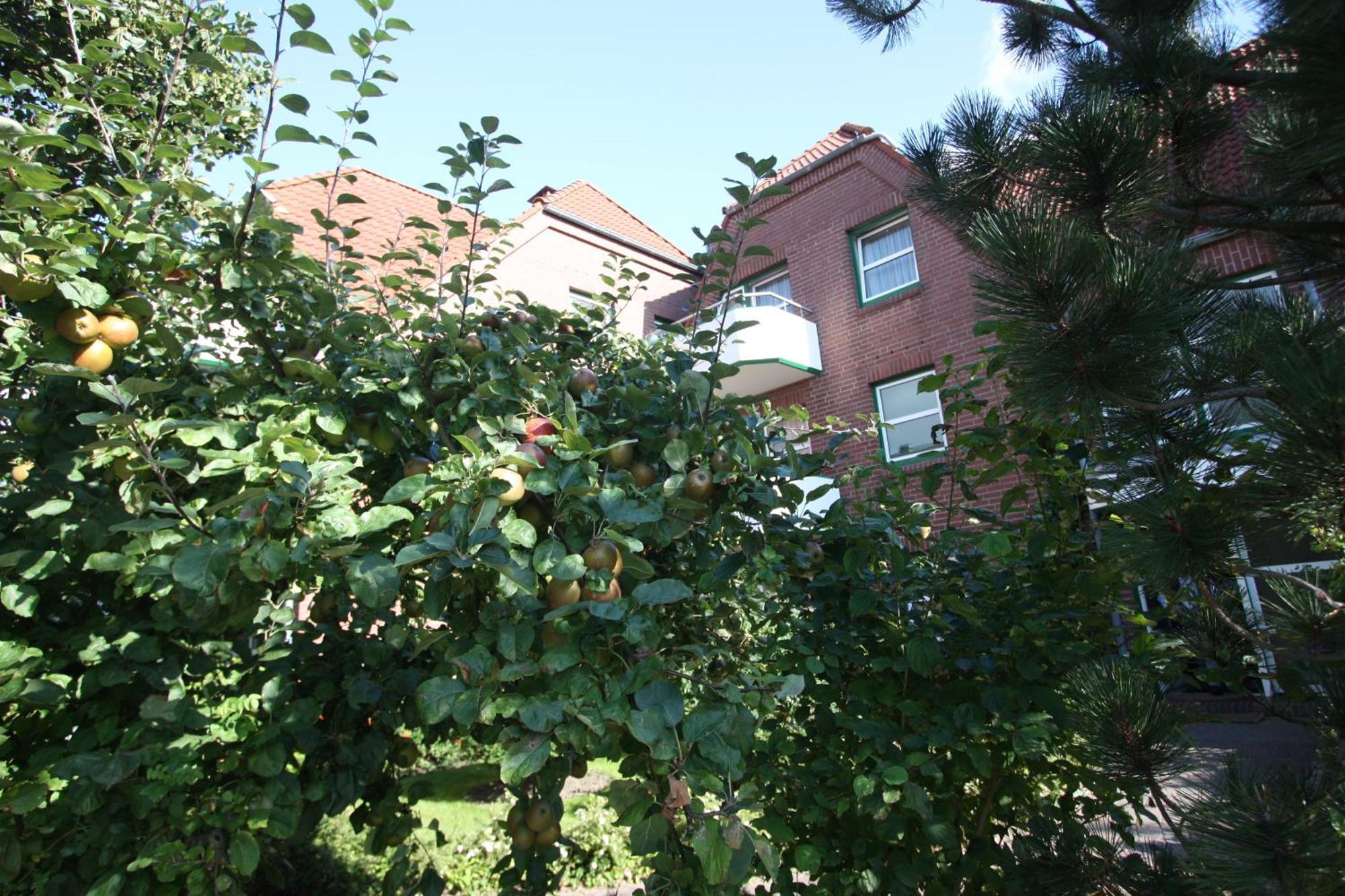 Apartmenthaus Hollaenderei Büsum Exterior foto